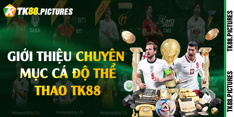 Giới thiệu chuyên mục cá độ thể thao TK88